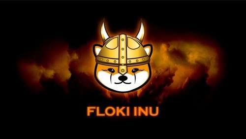 After the Bonk and Floki rally, is Memeinator the next big thing?